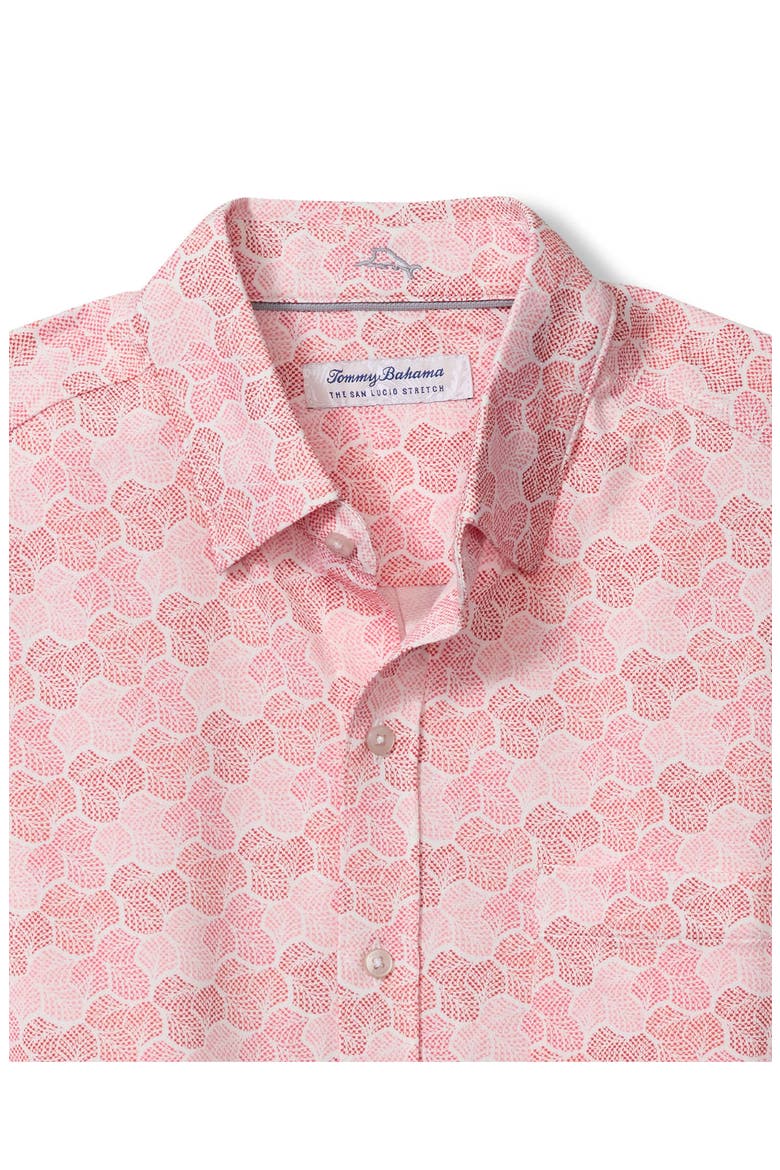 San Lucio Tri Leaf Geo Print IslandZone® Short Sleeve Button-Up Shirt, Alternate, color, HULA