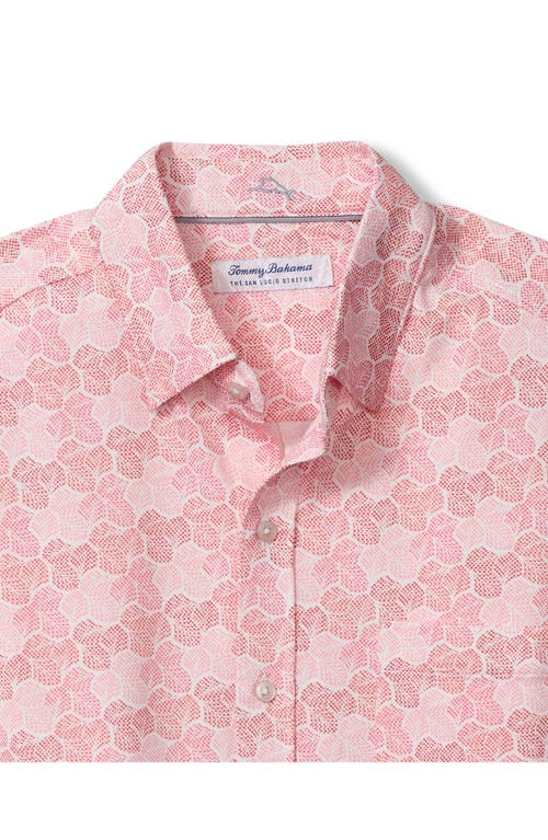 Tommy Bahama San Lucio Tri Leaf Geo Print Islandzone® Short Sleeve Button-up Shirt