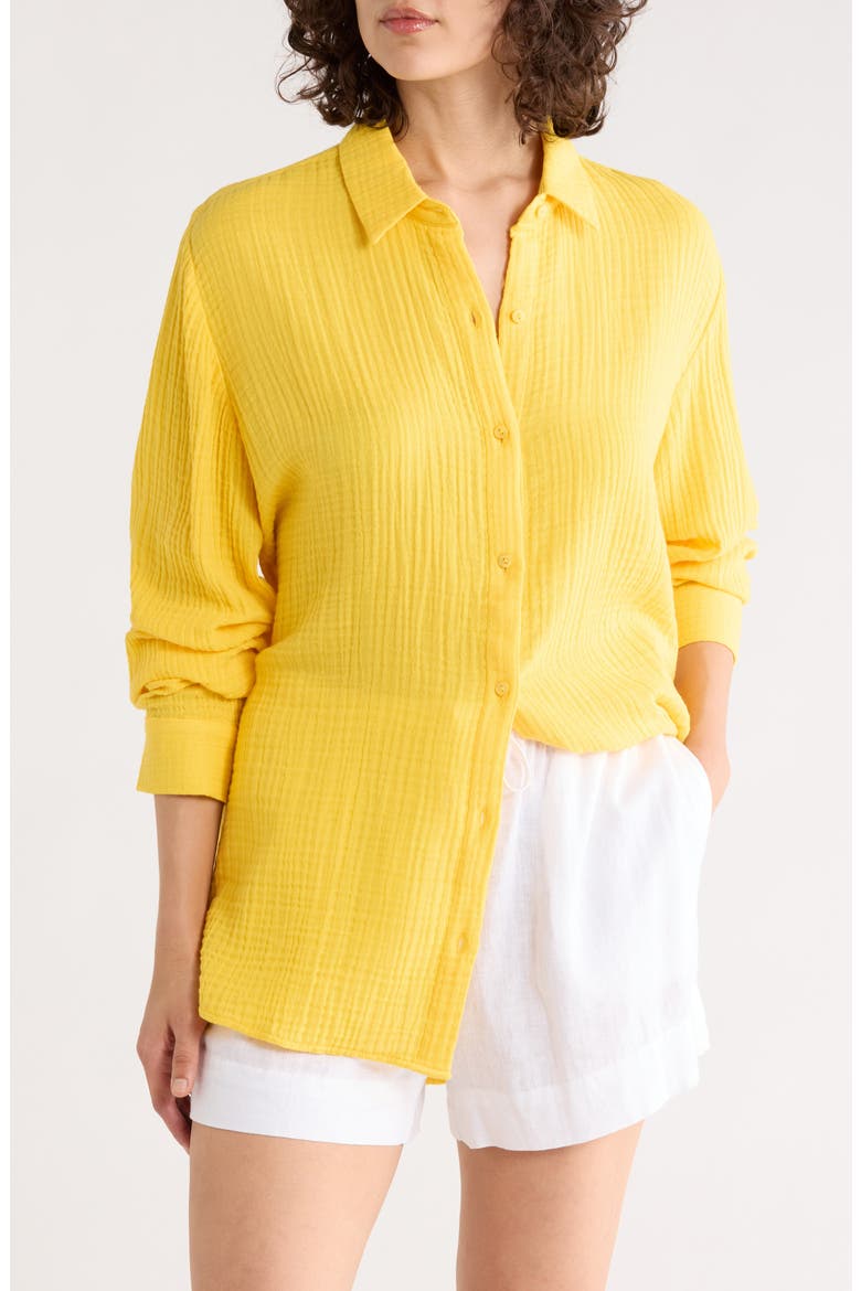 Classic Collar Button-Up Shirt, Main, color, SOLEI