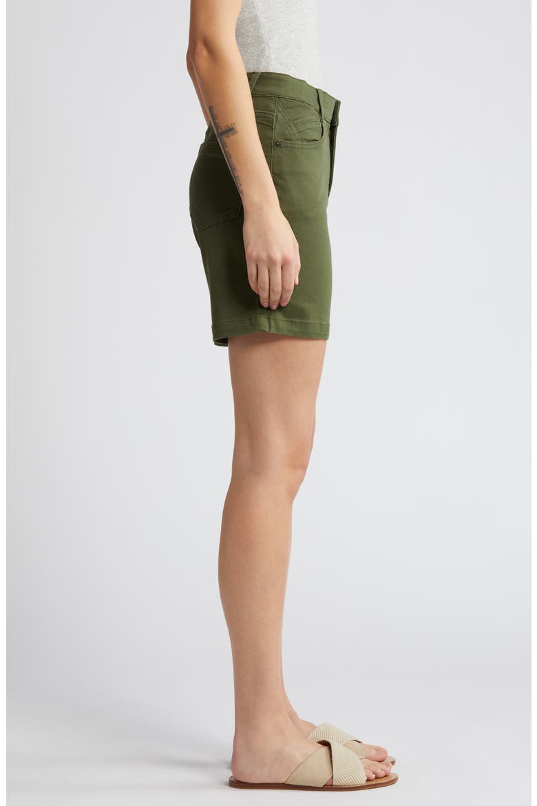 Mid Length Stretch Twill Shorts, Alternate, color, CELADON