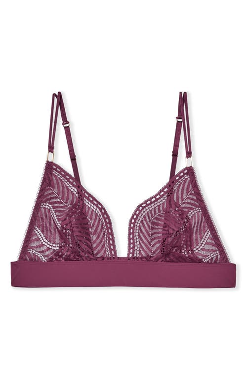 Etam Audace Lace Triangle Bra In Purple