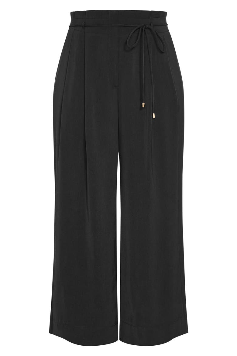 Shania Tie Waist Wide Leg Pants, Alternate, color, BLACK