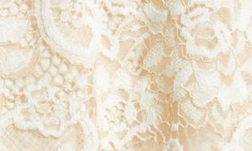 Anne Klein Pull-on Lace Midi A-line Skirt In Off White
