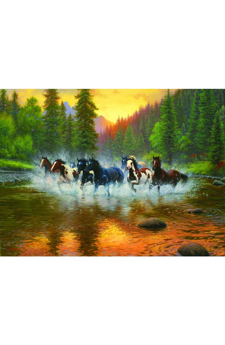 Sunsout Evening Romp 1000 piece Jigsaw Puzzle for Adults, Alternate, color, Multicolor