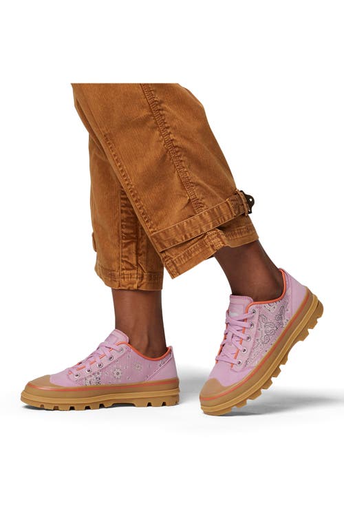 Sorel Scout N About™ Low Sneaker In Multi