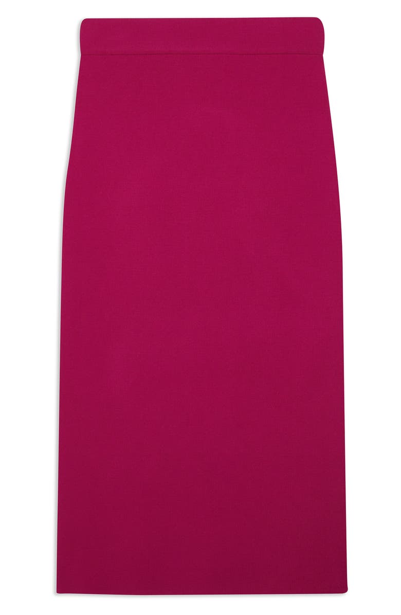 Barbrha Knit Body-Con Skirt