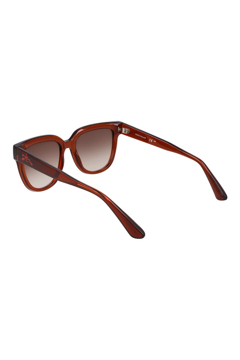 Le Pliage 52mm Round Sunglasses, Alternate, color, TRANSPARENT RUST