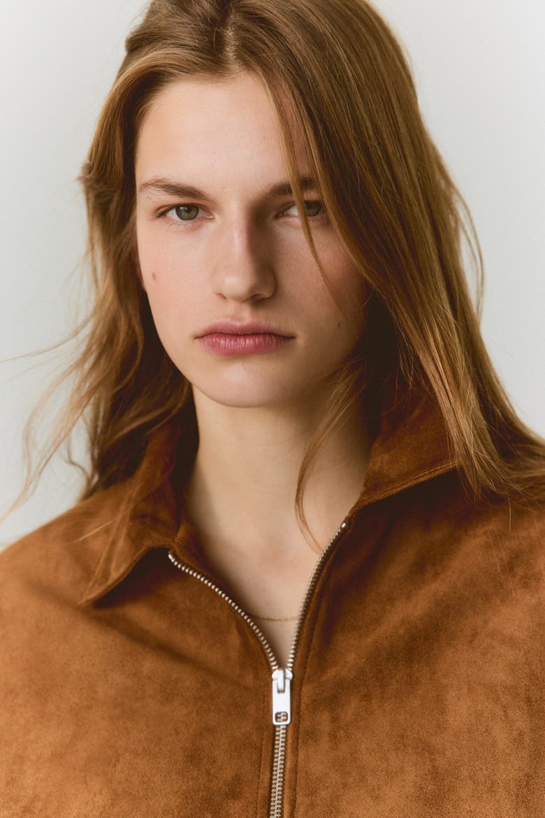 Collared Jacket, Alternate, color, Dark beige