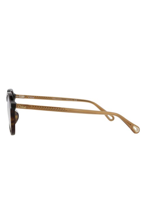 Chloé Core 50mm Round Optical Glasses In Havana Brown Transparent
