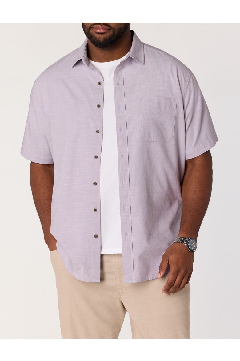 Big & Tall Washed Cotton Sport Shirt, Alternate, color, LAVENDER GRAY