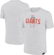 Nike Men's Nike Gray San Francisco Giants City Connect Velocity Practice Performance T-Shirt