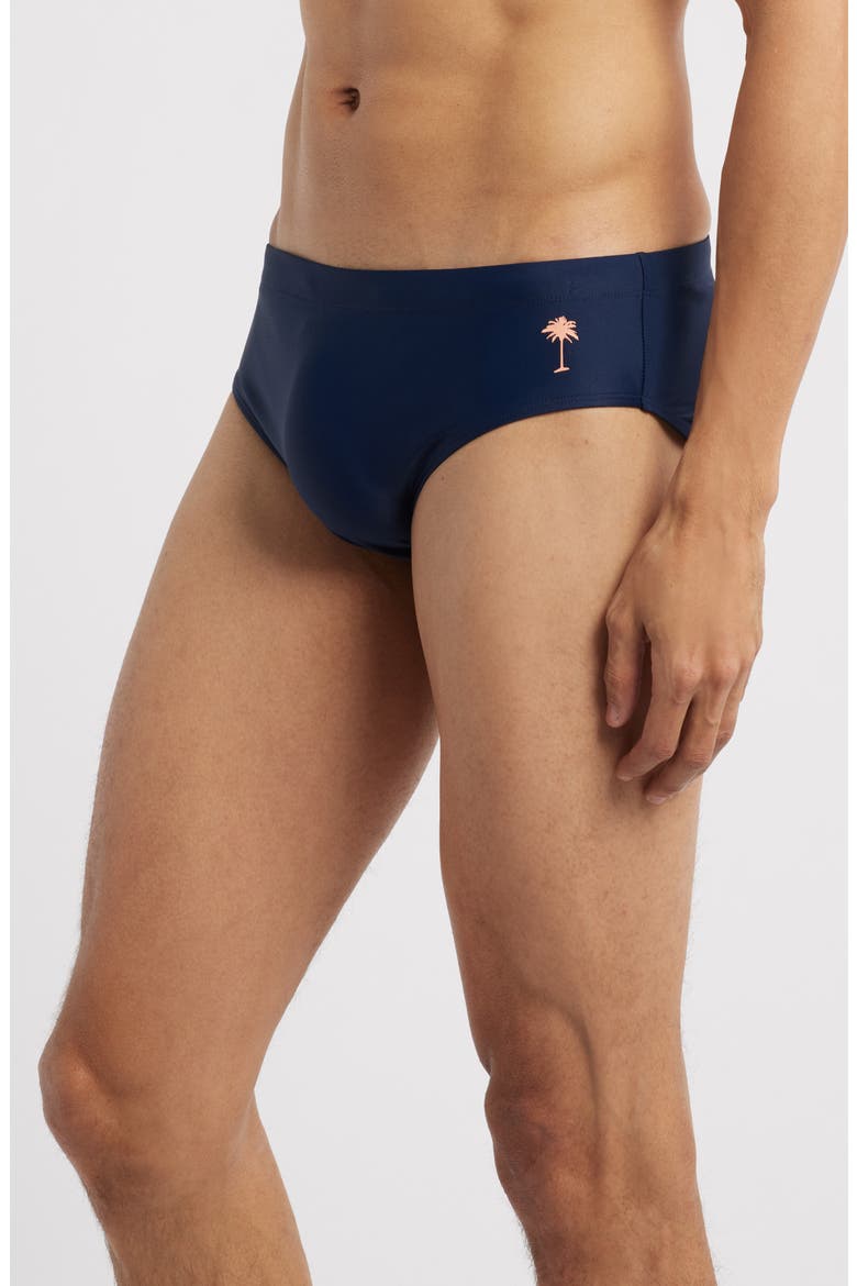 Solid Navy Swim Briefs, Alternate, color, NAVY
