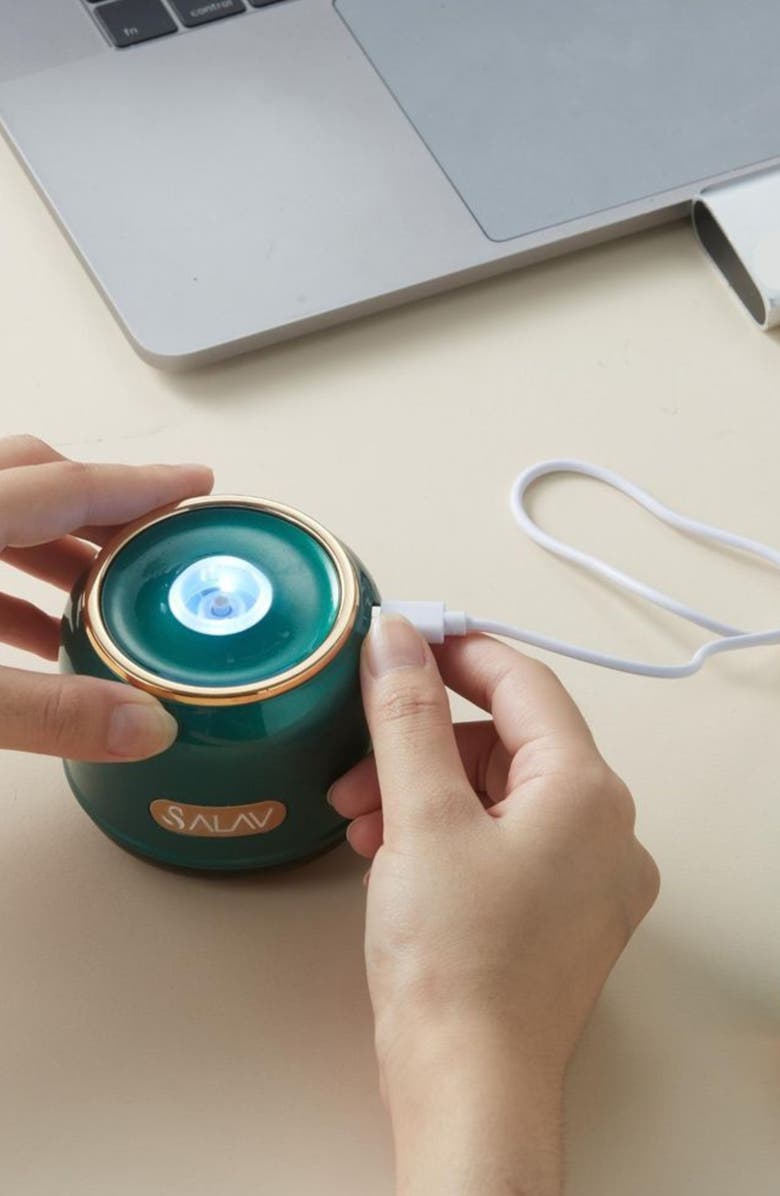 SALAV IS-900 Retro Edition Duopress Steamer Iron, Alternate, color, Emerald