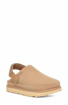Goldenstar Clog