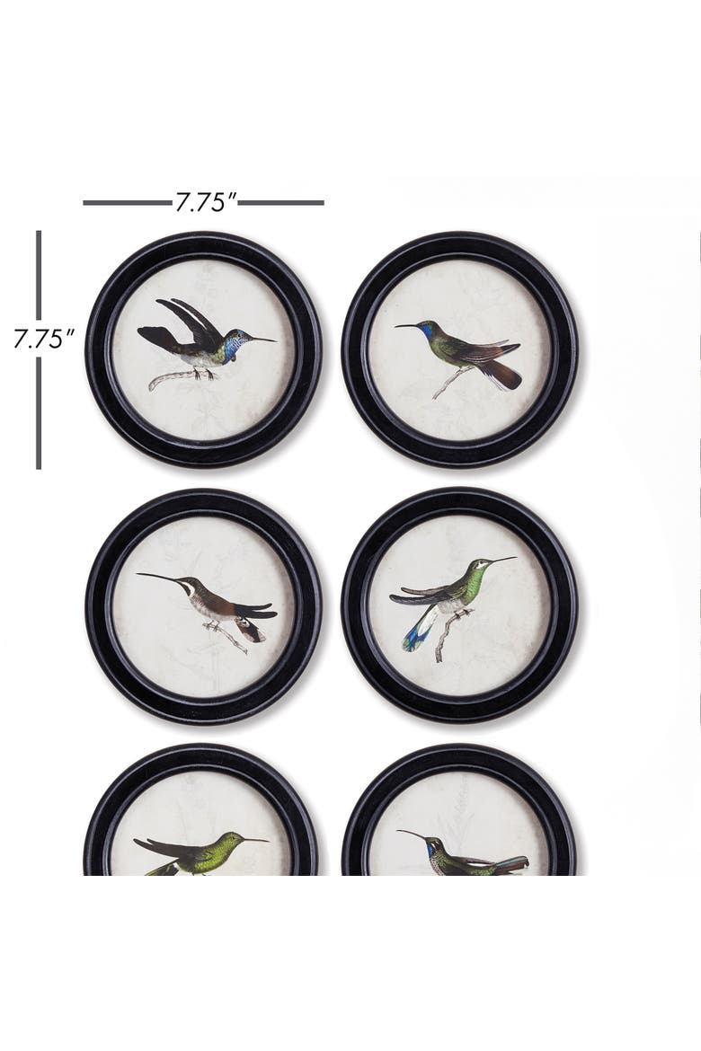 Hummingbird Round Petite Prints Set of 6, Alternate, color, Black