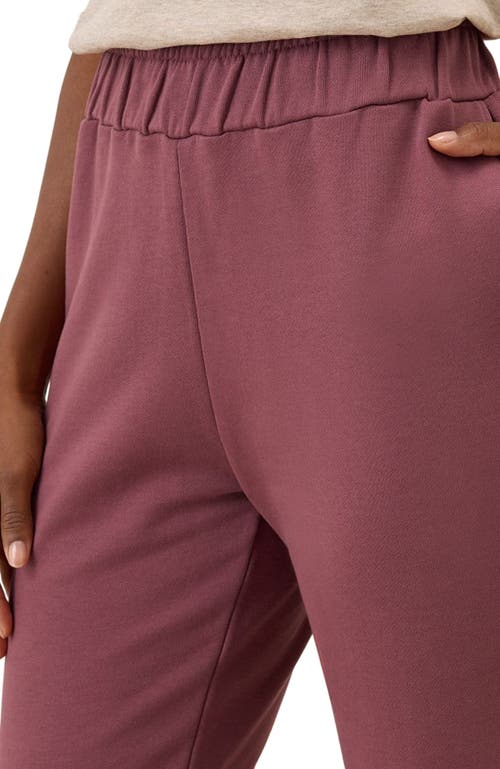 Pact Organic Brushed Fleece Sweatpant