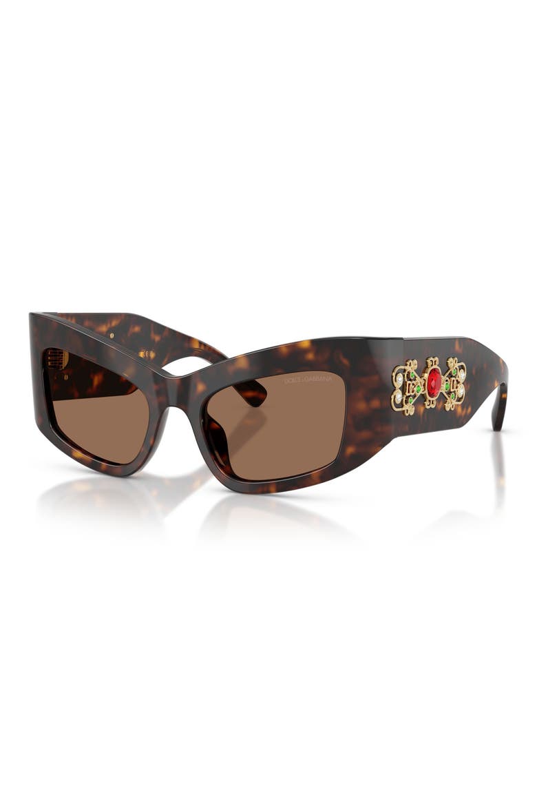 53mm Cat Eye Sunglasses, Alternate, color, HAVANA / DARK BROWN
