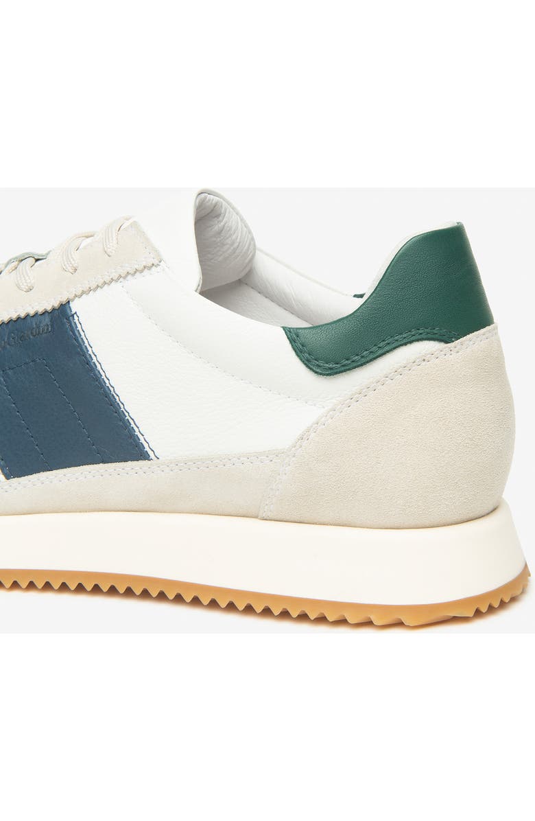 NeroGiardini Retro Low Top Trainer Sneaker, Alternate, color,