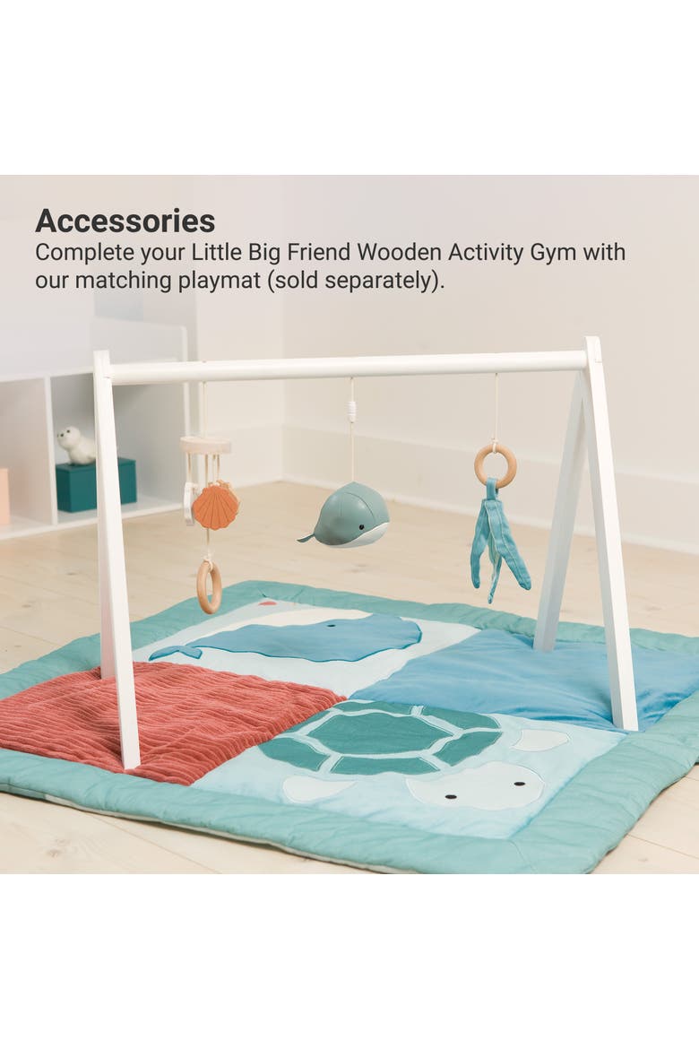 Wooden Activity Arch - Ocean, Baby Gym & Sensory Toys, Alternate, color, Multi Color