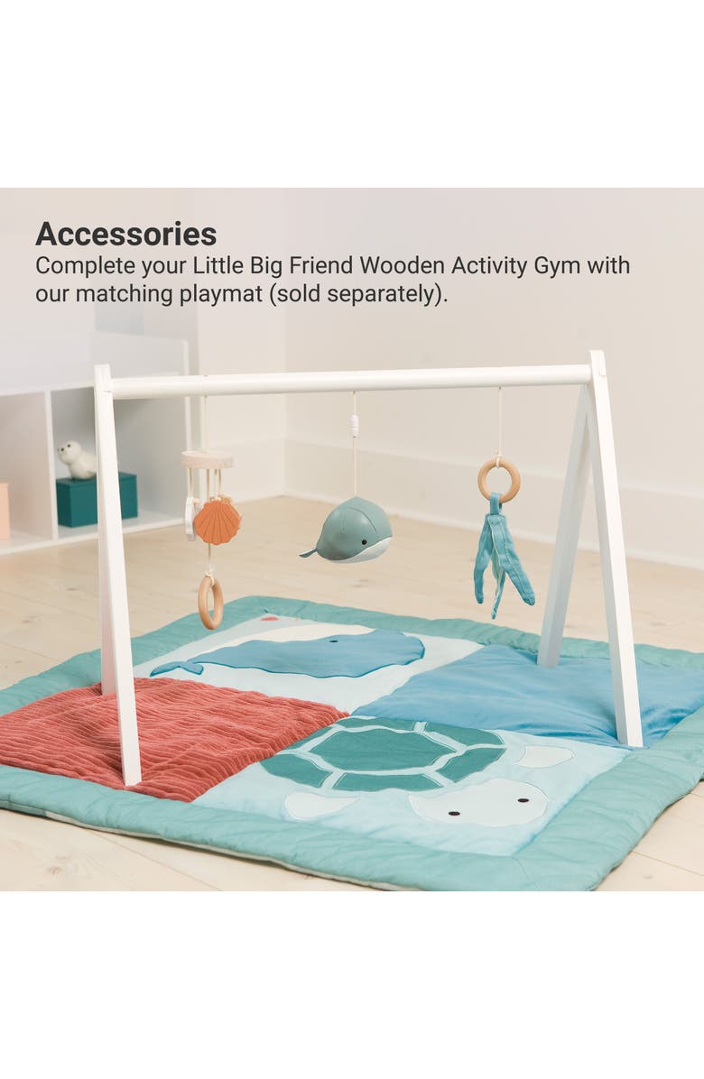 Little Big Friends Wooden Activity Arch - Ocean, Baby Gym & Sensory Toys, Alternate, color, Multi Color