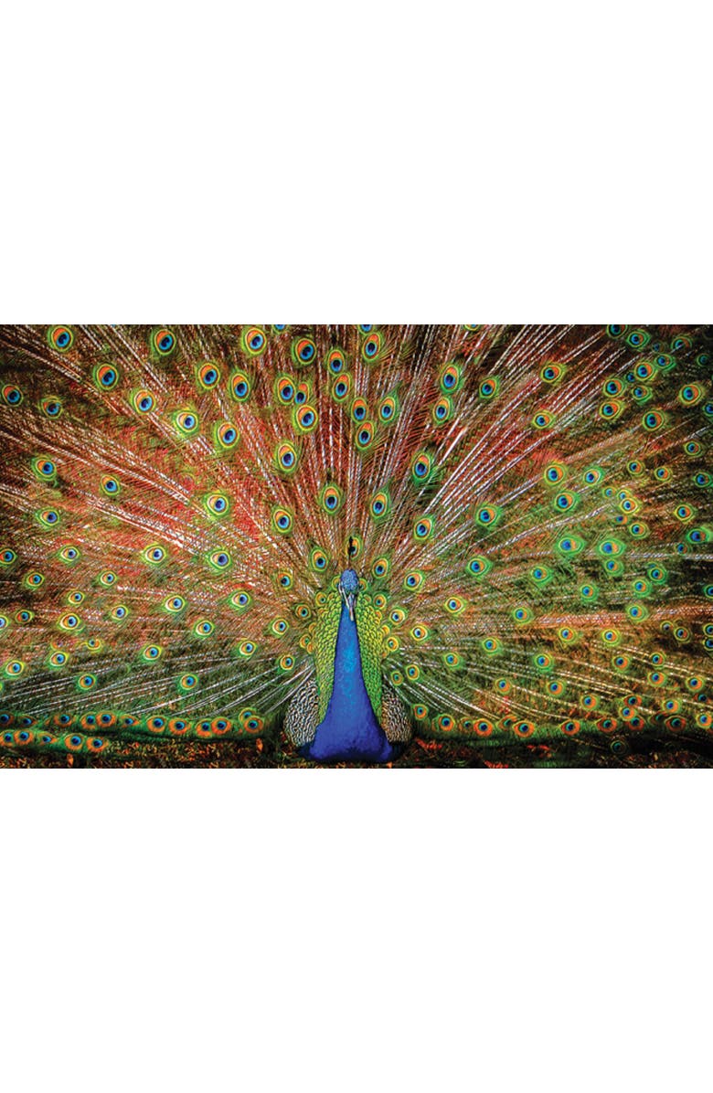 Sunsout The Big Boy 1000 piece Jigsaw Puzzle for Adults, Alternate, color, Multicolor