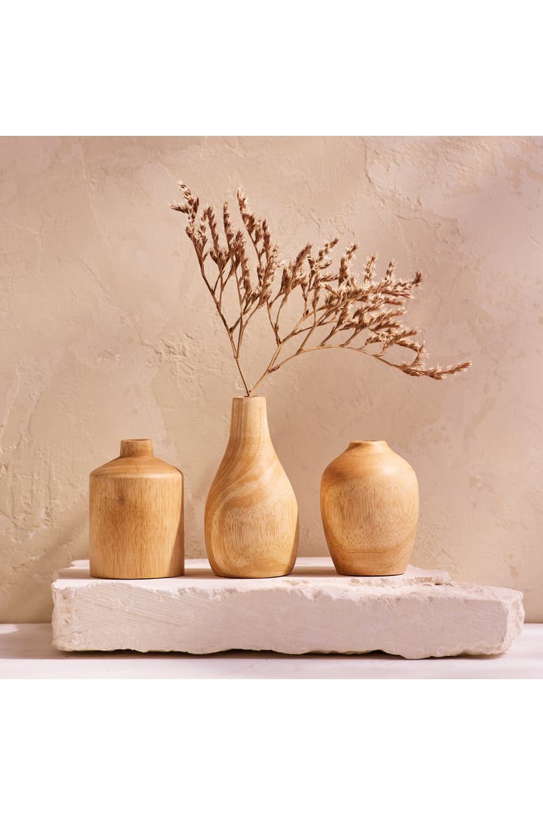 Kiln Mango Mini Vases - Set of 3, Alternate, color, Mango