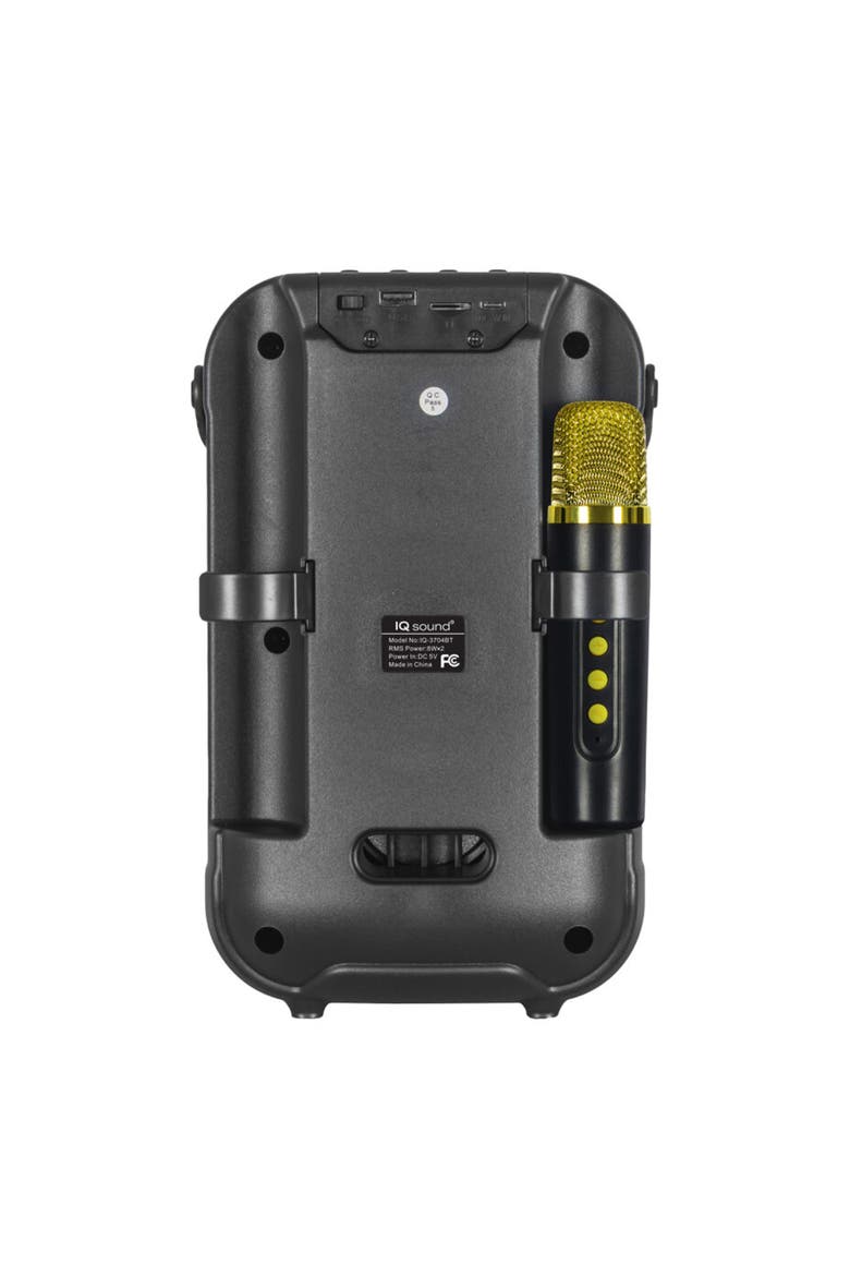2x4" Bluetooth Karoake Party Speaker Wireless Mic, Alternate, color, Black