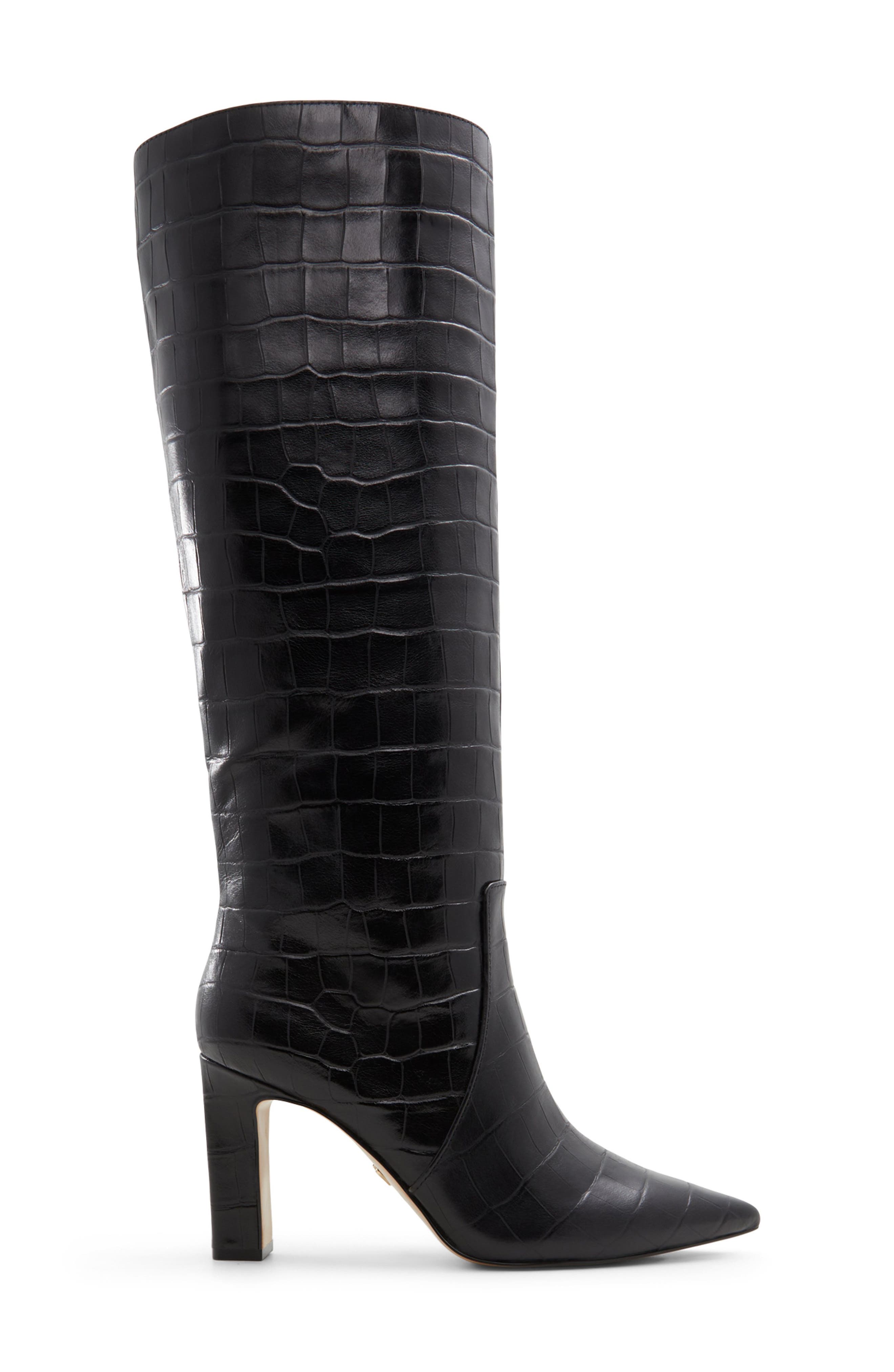 ALDO Cadigoder Pointed Toe Knee High Boot, Alternate, color, 