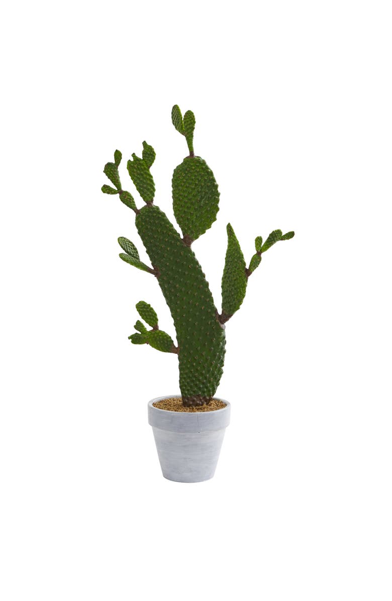 NEARLY NATURAL 27-in Cactus Artificial Plant, Main, color, Green