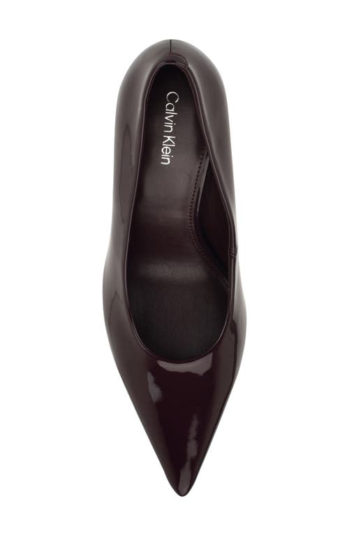 Calvin Klein Leciey Pointed Toe Pump In Brown