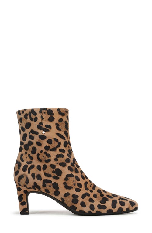 Franco Sarto Tavisha Square Toe Bootie In Brown