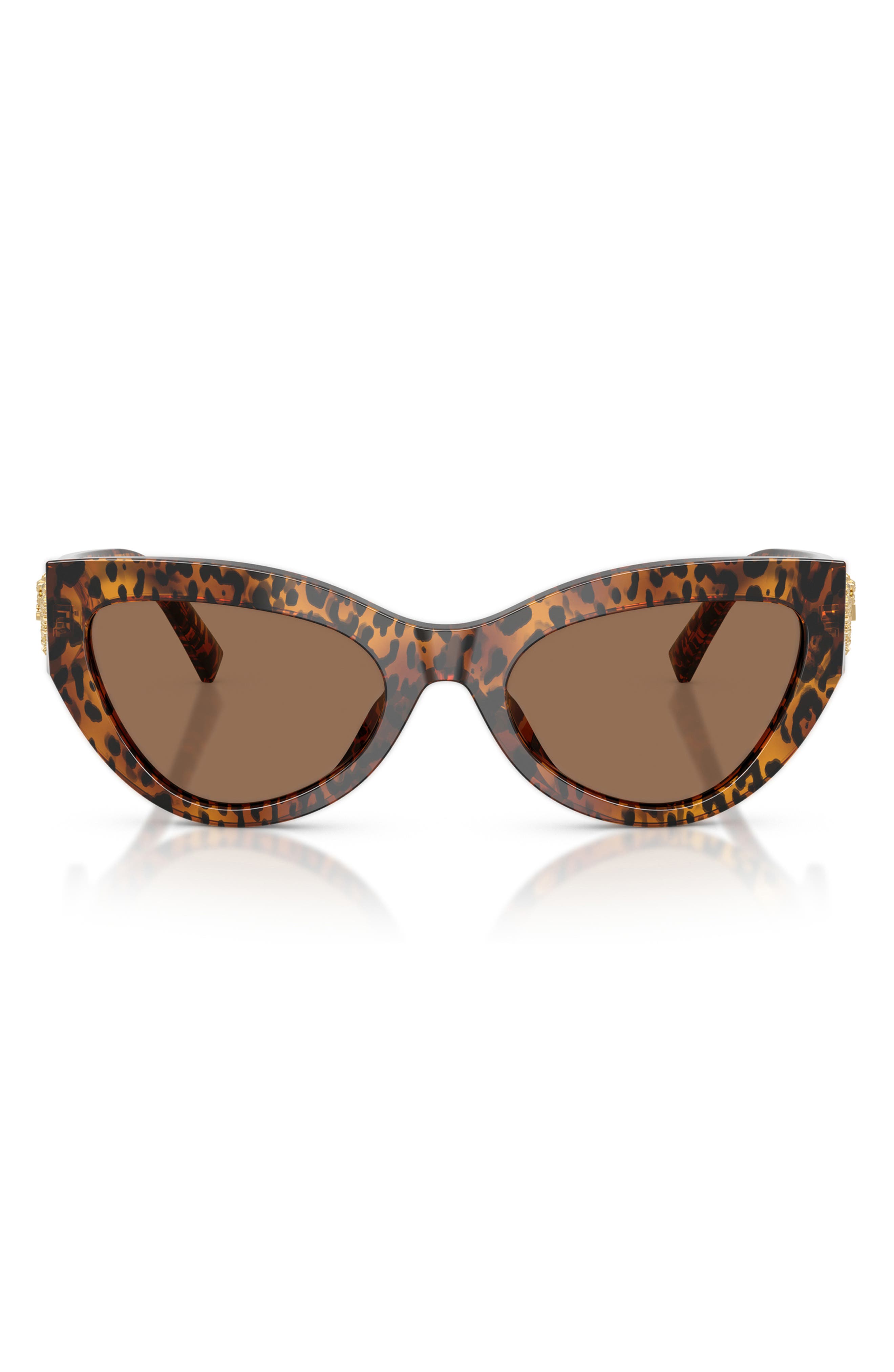 selected LEO TRANSPARENT / DARK BROWN