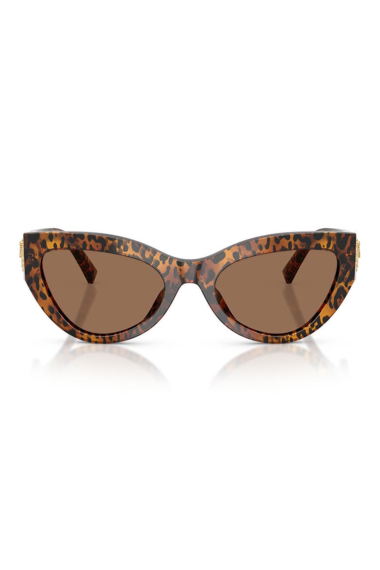 55mm Cat Eye Sunglasses, Main, color, LEO TRANSPARENT / DARK BROWN