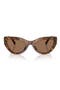  Leo Transparent / Dark Brown