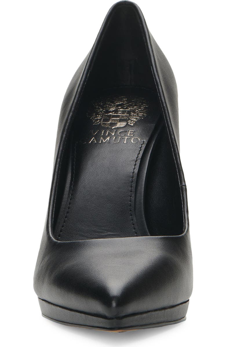 Vince Camuto Puntolis Pointed Toe Pump, Alternate, color,