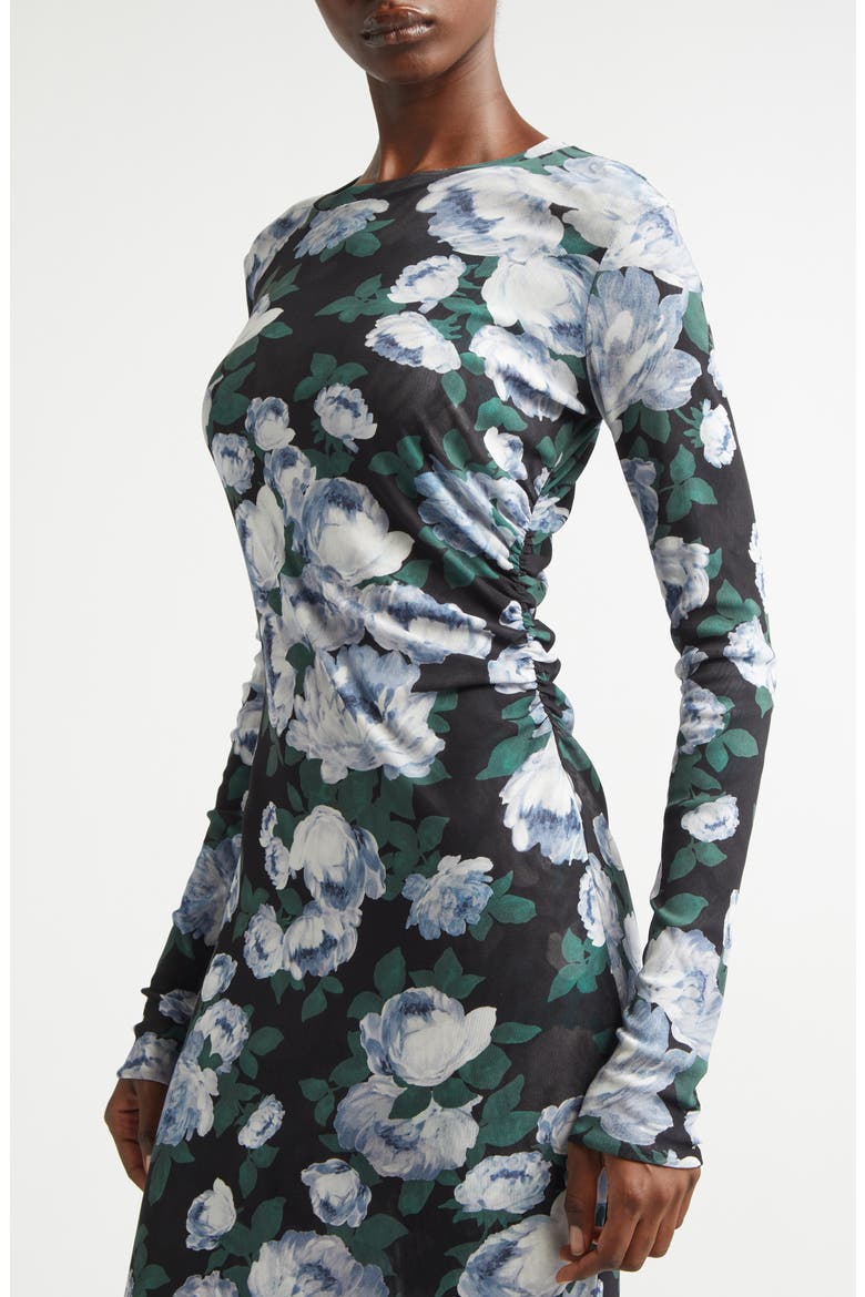 Bunch of Roses Long Sleeve Mesh Maxi Dress, Alternate, color, BLACK MULTICOLOR