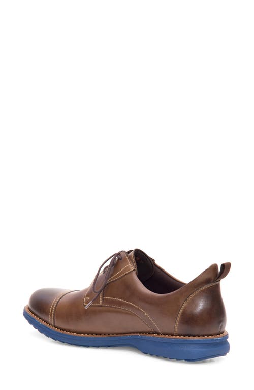 Sandro Moscoloni Jared Straight Tip Blucher Oxford In Brown