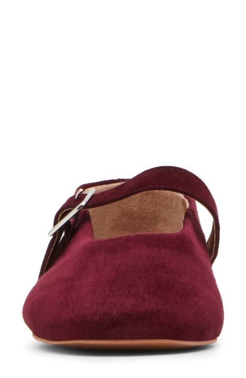 Steve Madden Women's Dreaming-s Almond Toe Flats In Burgundy Suede