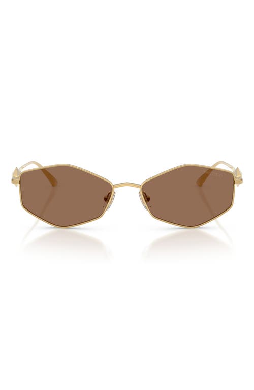 Jimmy Choo Zoey 55mm Geometric Sunglasses