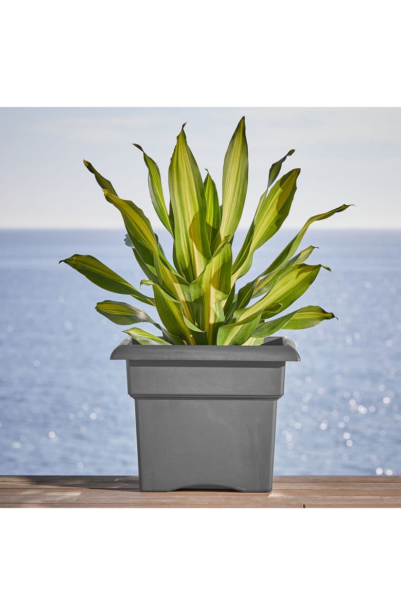Bloem Veranda Square Deck Box Planter 18",Charcoal, Matte Finish, 9 Gal Capacity, Alternate, color, Gray