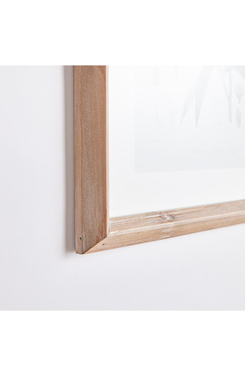 Napa Home & Garden Classic Flower And Leaf Study Framed Wall Art Set of 6, Alternate, color, Green