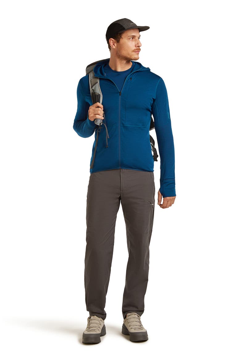 Lyocell & Merino 200 Realfleece Descender Hooded Jacket, Alternate, color, ATLANTIS/ ARCTIC