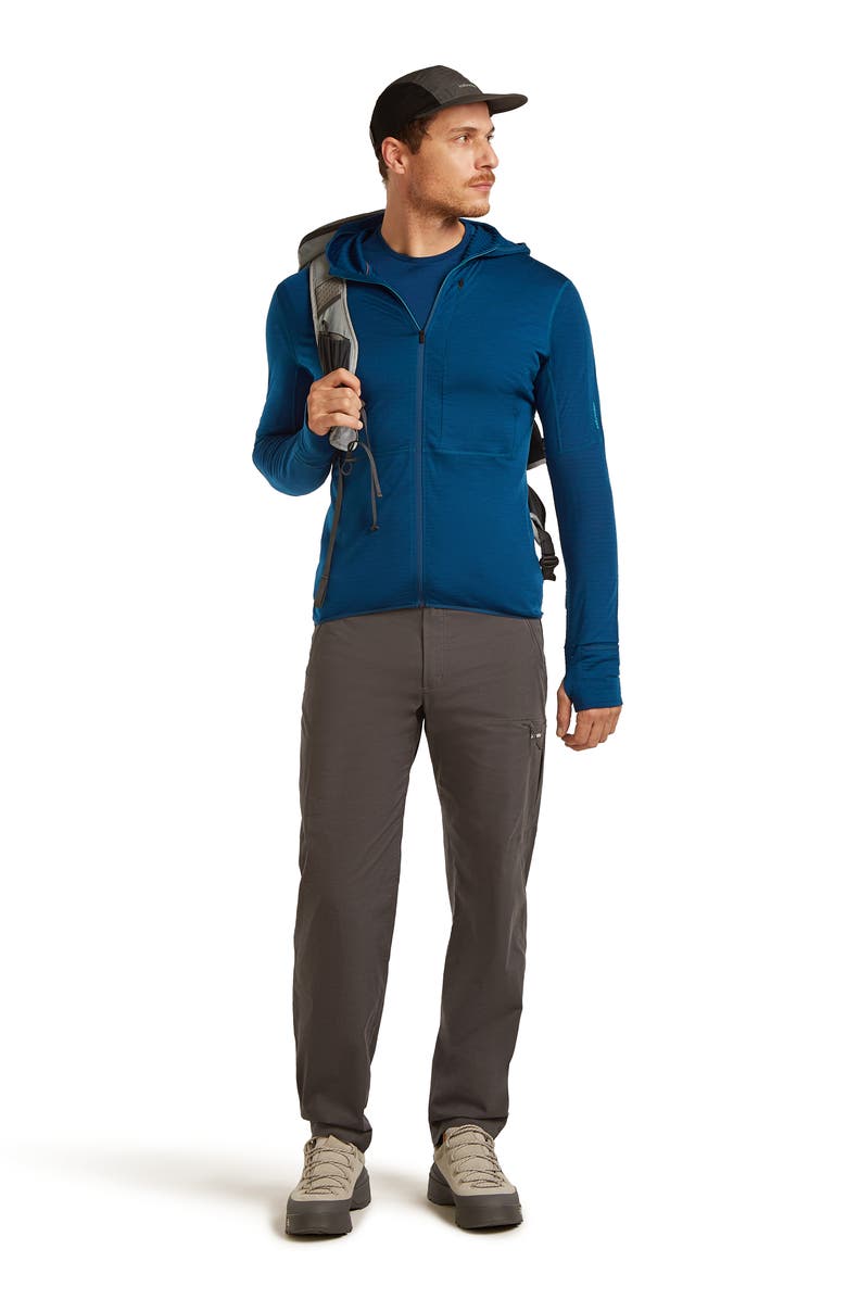 Icebreaker Lyocell & Merino 200 Realfleece Descender Hooded Jacket, Alternate, color, Atlantis/ Arctic