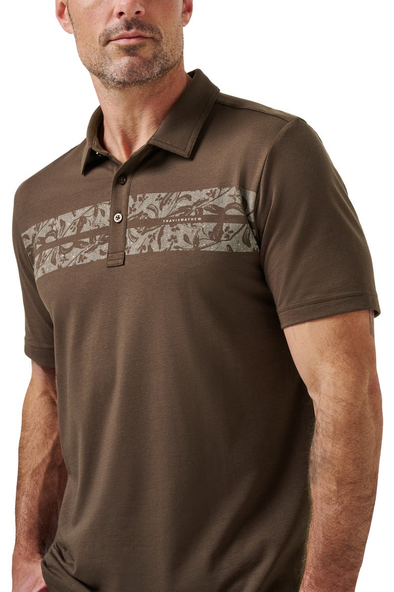 Orchard Walk Floral Stripe Polo, Alternate, color, CHOCOLATE