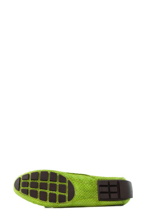 Marc Joseph New York Cypress Hill Driving Loafer In Lime Snake