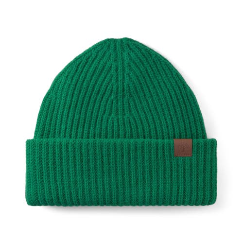 Mulberry Chunky Ribbed Beanie In Green