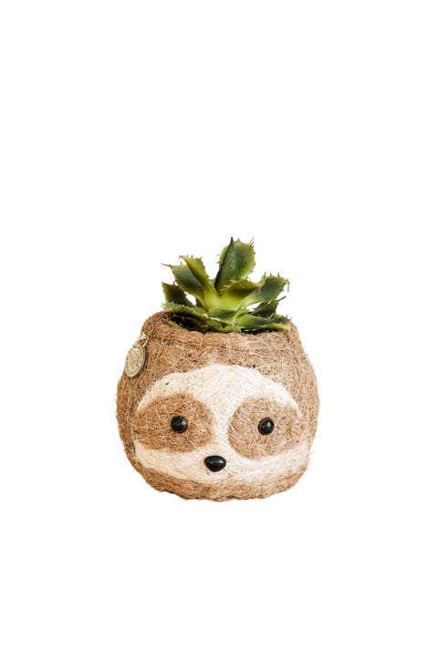Animal Head Coco Coir Planters