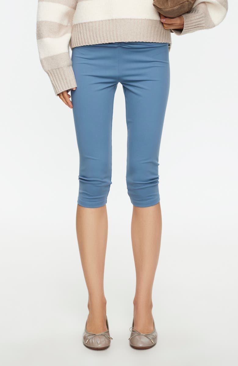 LIONESS Capo Capri Pants, Main, color, Slate