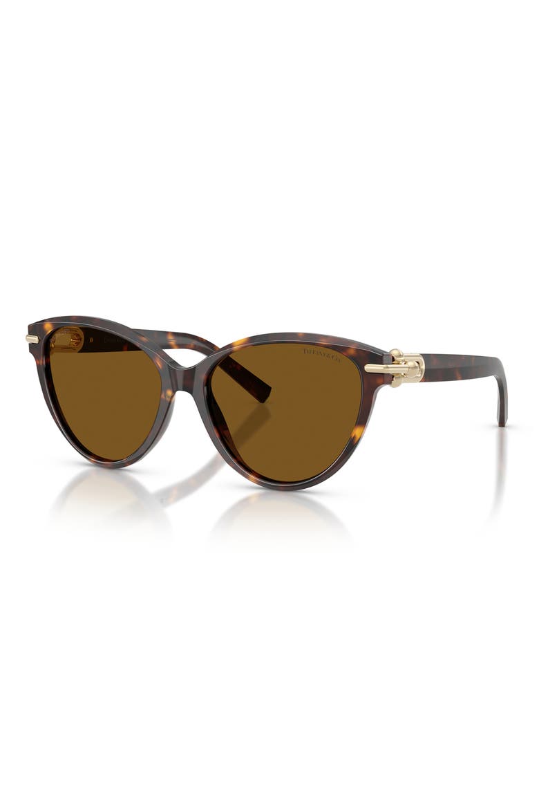 56mm Polarized Cat Eye Sunglasses, Alternate, color, HAVANA / DARK BROWN POLAR