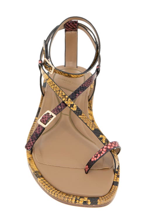 Kenneth Cole Paros Ankle Strap Sandal In Multi Post Snake